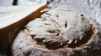 Peter Reinhart's Potato Rosemary Bread | Potato Boule with Roasted Garlic and Rosemary | Potato Rosemary & Garlic Bread with Biga Peter Reinhart's Potato Rosemary Bread | Potato Boule with Roasted Garlic and Rosemary | Potato Rosemary & Garlic Bread with Biga