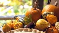Gooseberry Pie Gooseberry Pie