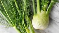 What is Fennel? + Roasted Fennel What is Fennel? + Roasted Fennel