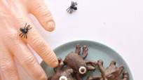 Chocolate Halloween Spiders Chocolate Halloween Spiders