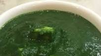 Palak Paneer Palak Paneer