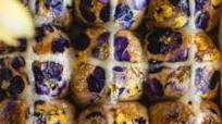 Soft and Fluffy Sourdough Hot Cross Buns with Edible Flowers Soft and Fluffy Sourdough Hot Cross Buns with Edible Flowers