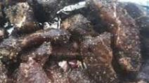 Beef Jerky in a Smoker Beef Jerky in a Smoker
