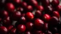 Cranberry Brie Focaccia Cranberry Brie Focaccia