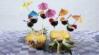 Pina colada cake pops Pina colada cake pops