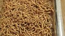 Mock Chow Mein Hot Dish Mock Chow Mein Hot Dish