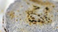 Blue Corn Tortillas Blue Corn Tortillas