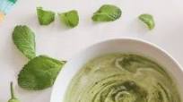 Mint Raita Mint Raita