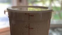 Siôn's 72-hour Neapolitan Pizza dough recipe Siôn's 72-hour Neapolitan Pizza dough recipe