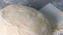 Pate Fermentee - Pre-fermented dough Pate Fermentee - Pre-fermented dough