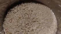 Instant Pot Steel Cut Oats (or Rolled!) Instant Pot Steel Cut Oats (or Rolled!)