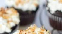 Chocolate Cupcakes with Toasted Coconut Whipped Cream Chocolate Cupcakes with Toasted Coconut Whipped Cream