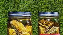 Fast Favorite Garlic Dill Pickles Fast Favorite Garlic Dill Pickles