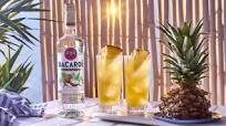 Coconut & Pineapple Coconut & Pineapple