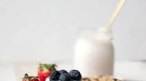 Instant Pot Vegan Coconut Milk Yogurt Instant Pot Vegan Coconut Milk Yogurt