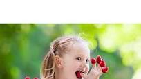Kid Friendly Shopping Guide Kid Friendly Shopping Guide