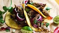 Crispy Venison Carnitas Crispy Venison Carnitas