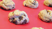 Ww Mini Chocolate Chip Cookies Ww Ww Mini Chocolate Chip Cookies Ww