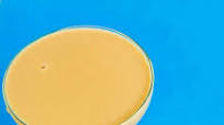 Creamsicle Margarita Creamsicle Margarita