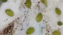 Angoor (grapes) ka raita Angoor (grapes) ka raita