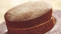 Chocolate Victoria Sponge Cake Chocolate Victoria Sponge Cake