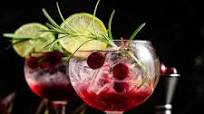 Cranberry Gin and Tonic Cranberry Gin and Tonic