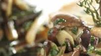 Pork Scallops over a warm Mushroom Sauce Pork Scallops over a warm Mushroom Sauce