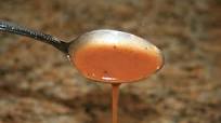 Bea's Version of Swiss Chalet Dipping Sauce Bea's Version of Swiss Chalet Dipping Sauce