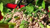 Larb Chicken Larb Chicken