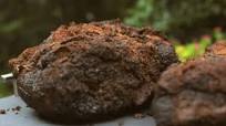 The Best Smoked Brisket Recipe The Best Smoked Brisket Recipe