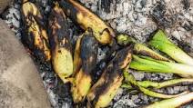 Ember-Roasted Corn and Leeks Ember-Roasted Corn and Leeks