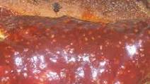 Bbq Brisket Bones Bbq Brisket Bones
