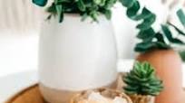 Pumpkin Spice Margarita Recipe Pumpkin Spice Margarita Recipe