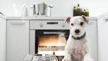Vet-Approved Homemade Dog Food Vet-Approved Homemade Dog Food