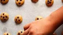 Mini Chocolate Chip Greek Yogurt Cookie Bites Mini Chocolate Chip Greek Yogurt Cookie Bites