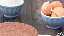 Chocolate Italian Sponge Cake Chocolate Italian Sponge Cake
