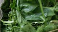 Sarson ka saag recipe by Shashi Keshri in Telugu at BetterButter Sarson ka saag recipe by Shashi Keshri in Telugu at BetterButter