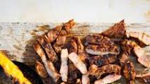 Pork ribeye steaks with chipotle marinade and stokbrood Pork ribeye steaks with chipotle marinade and stokbrood