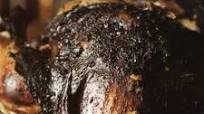 Smoked Thanksgiving Turkey Smoked Thanksgiving Turkey