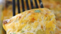 Green Chili Chicken Enchiladas Recipe Green Chili Chicken Enchiladas Recipe