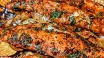 Red Snapper Los Grilla Recipe Red Snapper Los Grilla Recipe