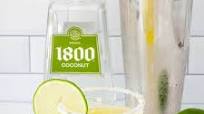 Coconut Tequila Margarita Recipe Coconut Tequila Margarita Recipe