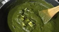 paneer palak sarso saag paneer palak sarso saag