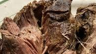 Dill Pickle Pot Roast Dill Pickle Pot Roast