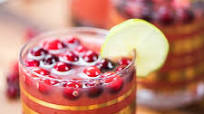 Cranberry Vodka Punch Cranberry Vodka Punch