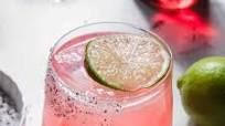 Hibiscus Margarita Hibiscus Margarita