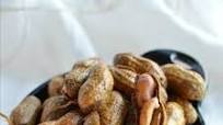 Spicy Cajun Boiled Peanuts Spicy Cajun Boiled Peanuts