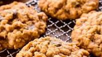 Pumpkin Oatmeal Chocolate Chip Cookies Pumpkin Oatmeal Chocolate Chip Cookies