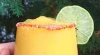 Mango Margaritas Mango Margaritas