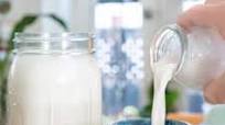 Homemade Cashew Milk Homemade Cashew Milk